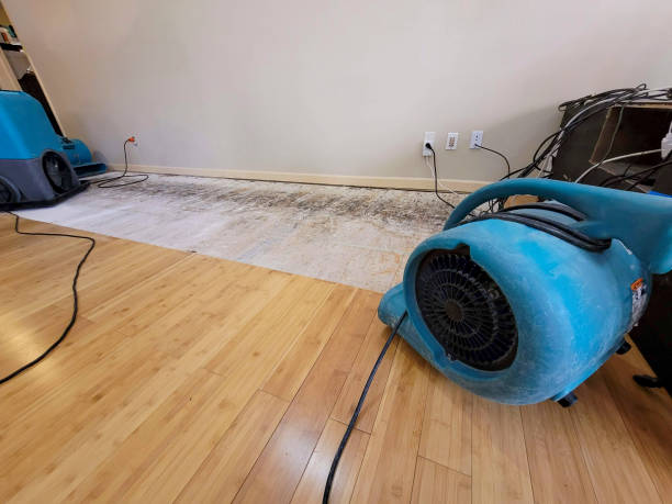 Professional Water Extraction technician working in Wheatland, CA